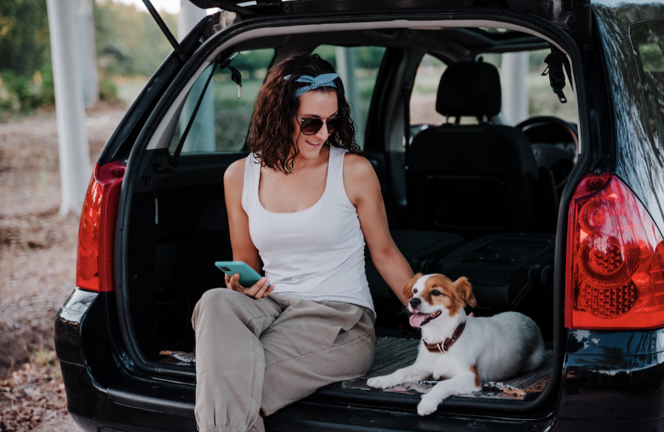 En busca del coche ideal para viajar con tu mascota: medidas mínimas y  otras cuestiones que quizá no te habías planteado